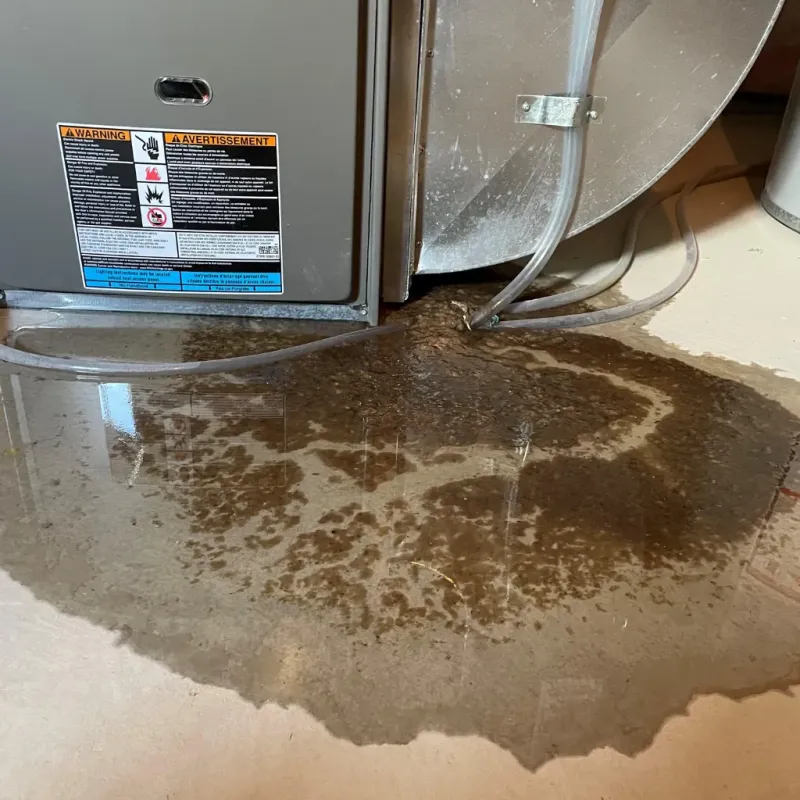 Appliance Leak Cleanup in Hazelwood, MO