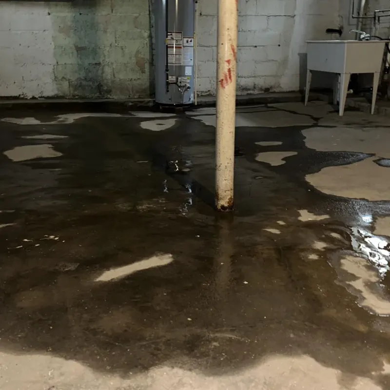 Emergency Water Extraction And Removal in Hazelwood, MO